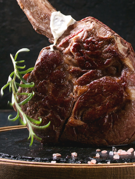 Untitled (1880 × 940 px) (31)